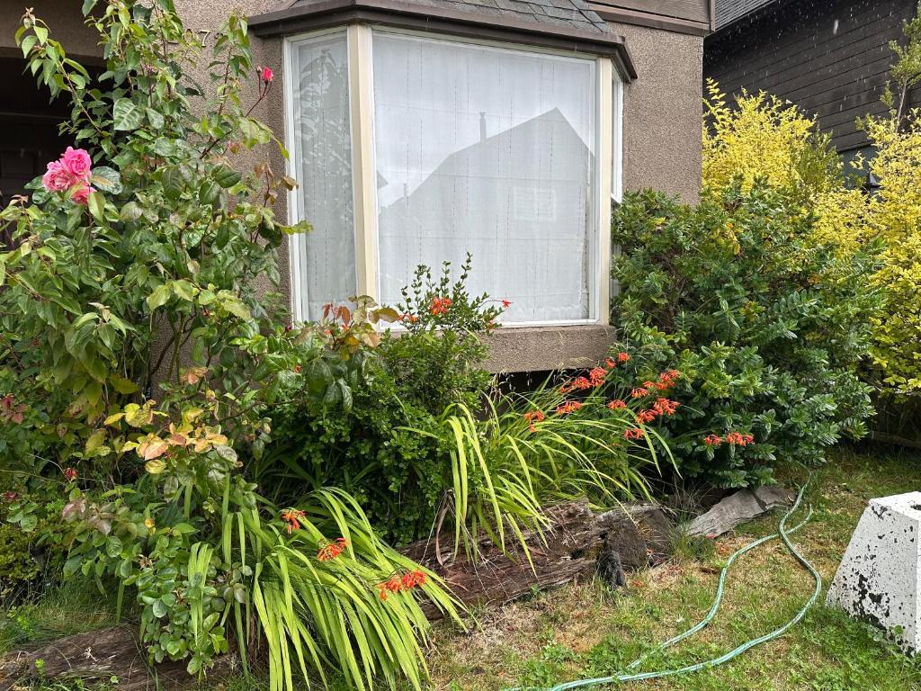 Habitación Doble con Baño Exclusivo, Entorno Tranquilo y Servicios Cercanos - 3