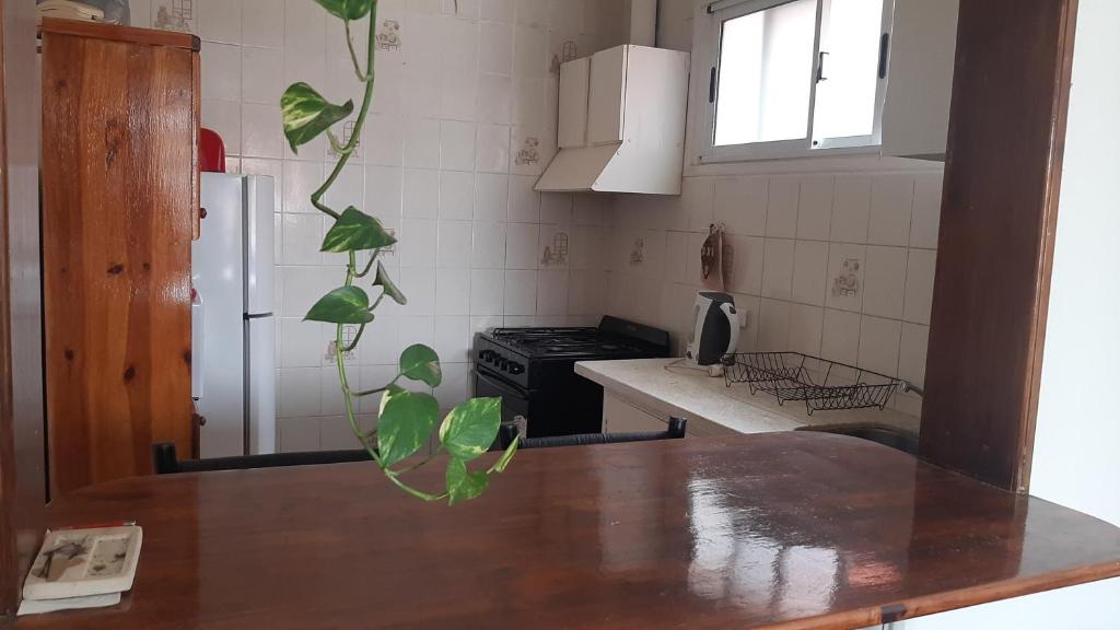 Departamento Cordón del Plata - 1