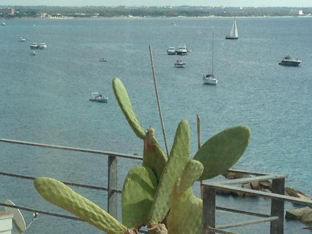 Surrounding environment