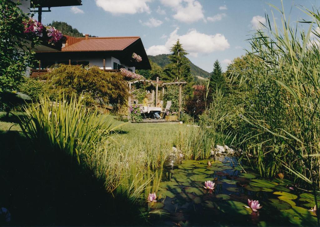 Ferienwohnungen am Hausberg - 3