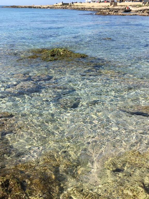 Residence Vista mare - Home Salento com - 5