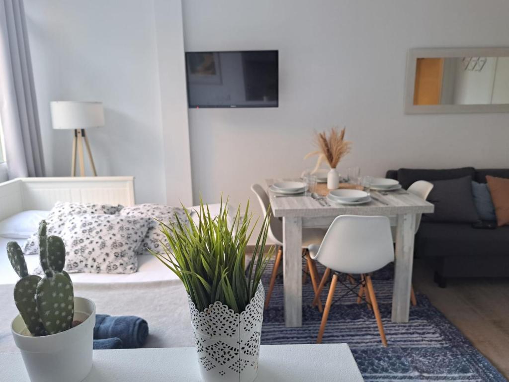Apartamento tipo estudio con piscina en Blanes - 1