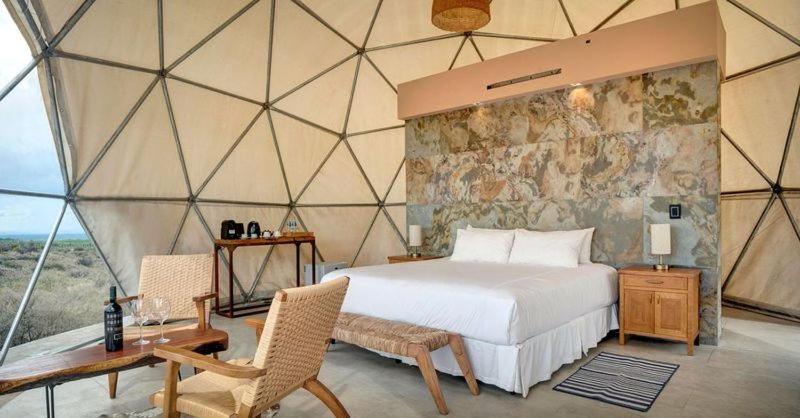 Bodega Alpasión Lodge y Glamping - 2