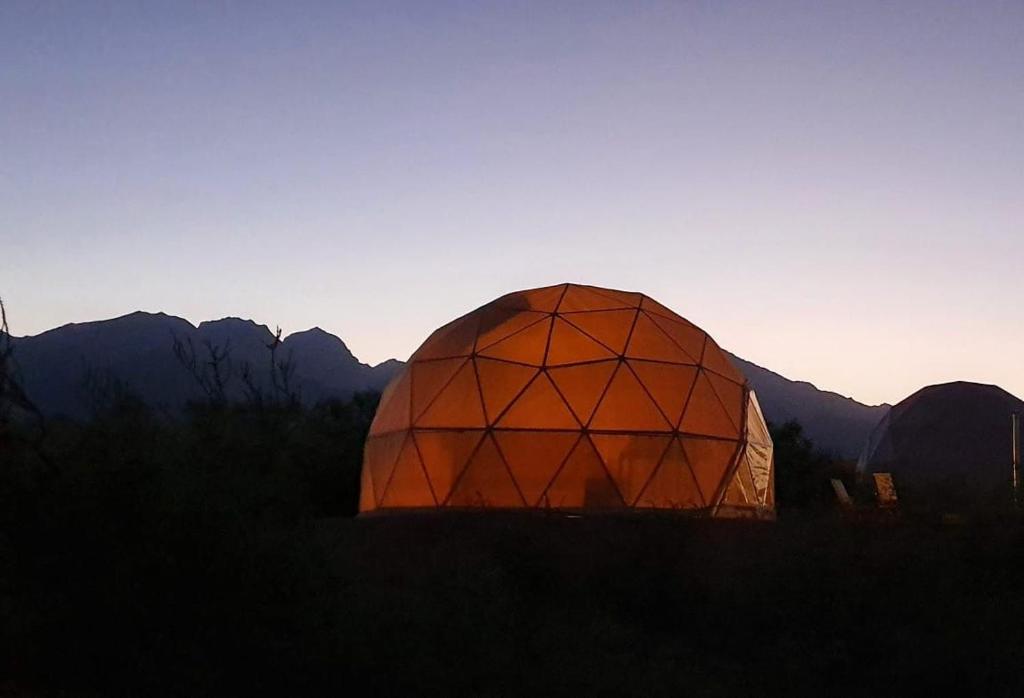 Bodega Alpasión Lodge y Glamping - 3