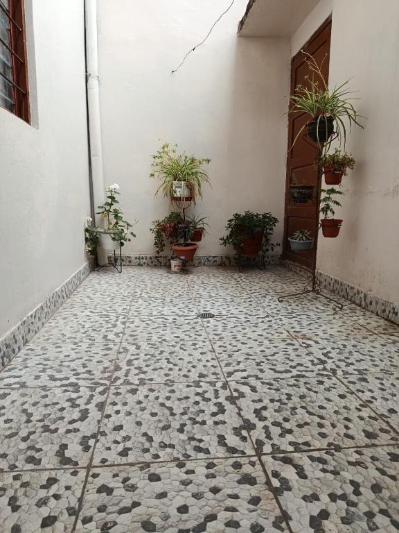 Apartment in a residential area - 5