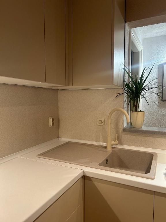 Apartman Rajs - 5