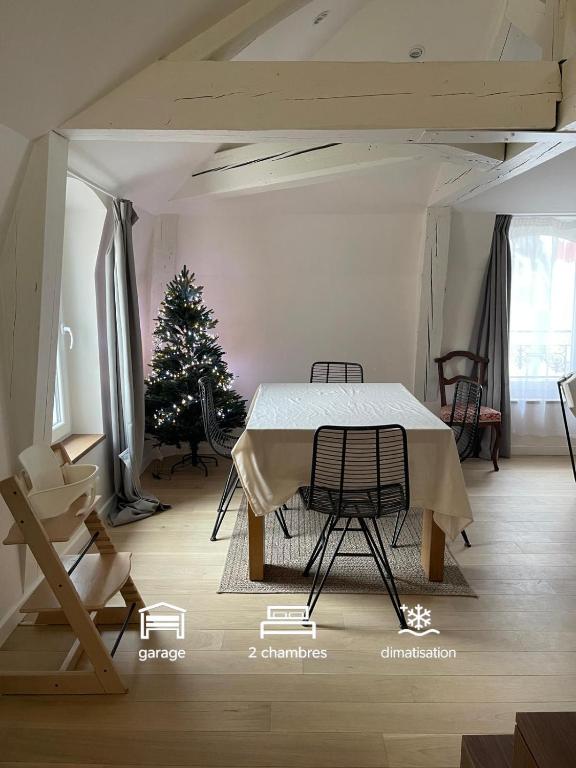Les baleines - hypercentre 2 chambres avec garage et clim - air conditioning - 1