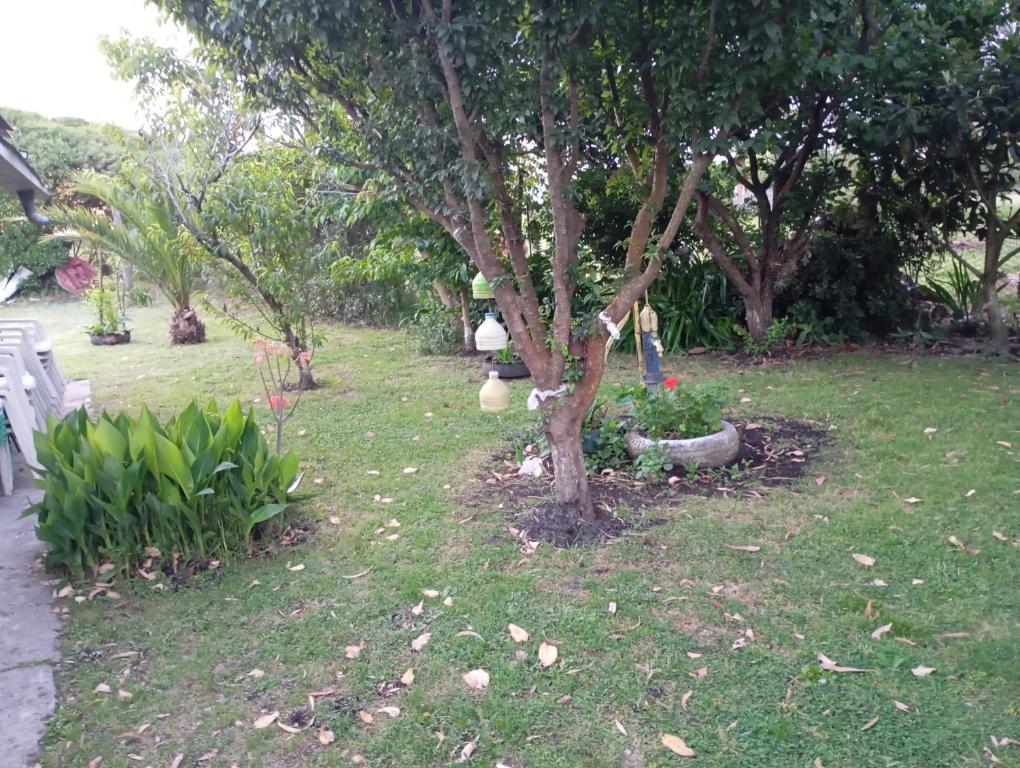 Casa de campo - 3
