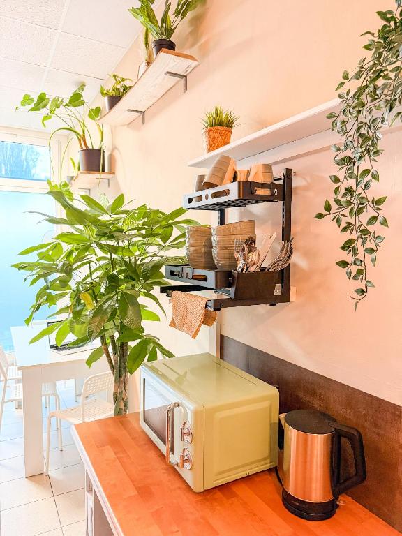 Kitchen, Urban Capsule in Dresden