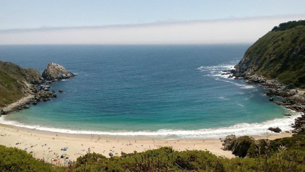 Cabaña en naturaleza y a 5 minutos de Playa las Docas - 2