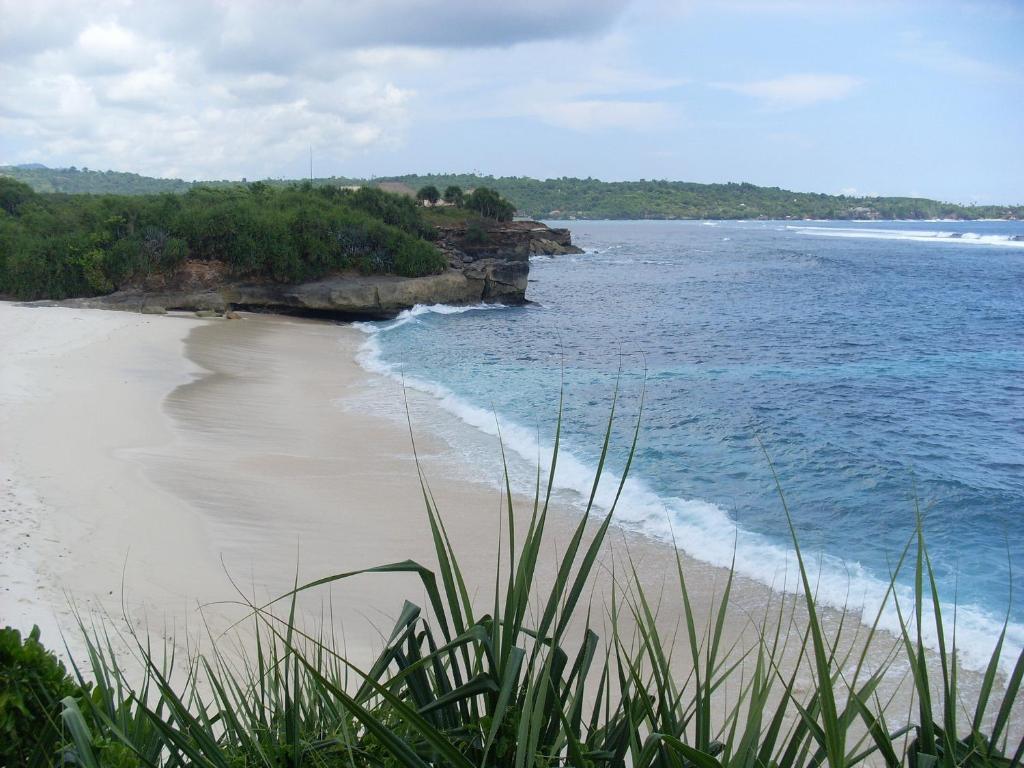 Dream Beach Cottages photo