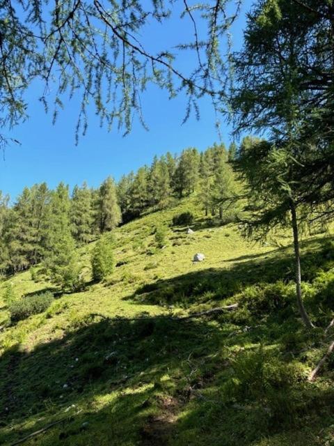 Grossbergblick - 5