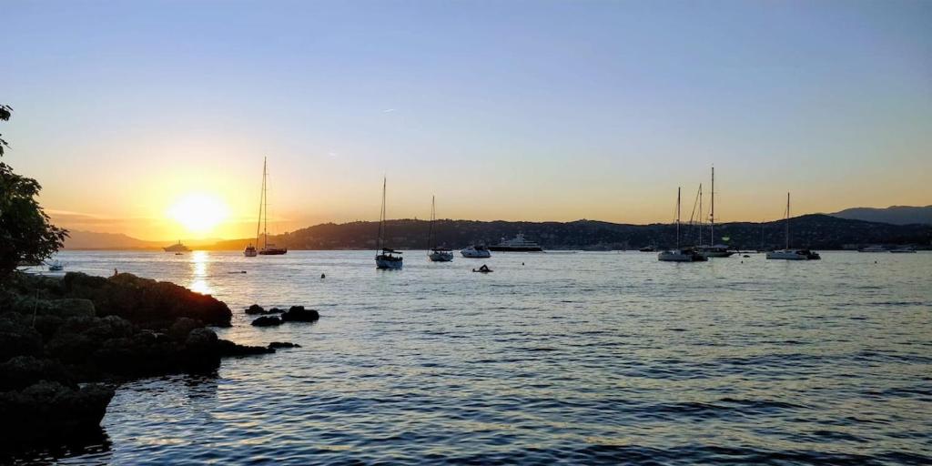 Waterfront Villa in Cap d Antibes - 4