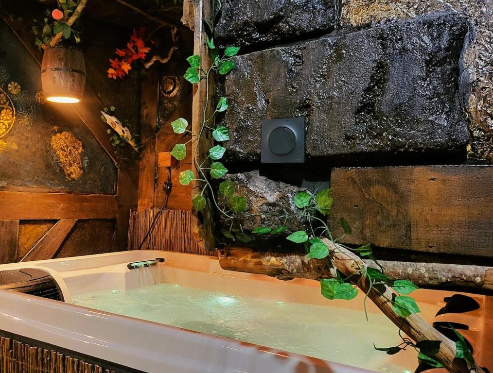 L'Auberge du Trône Romantique Médieval Jacuzzi - 4
