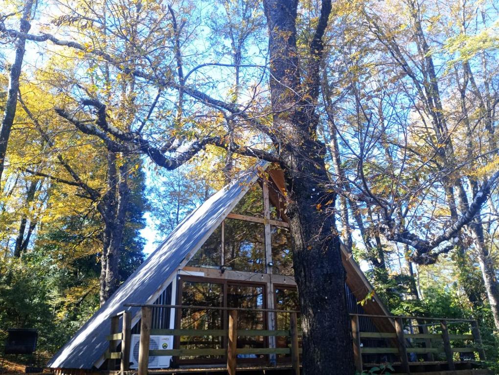 Cabañas bosque sur - 5