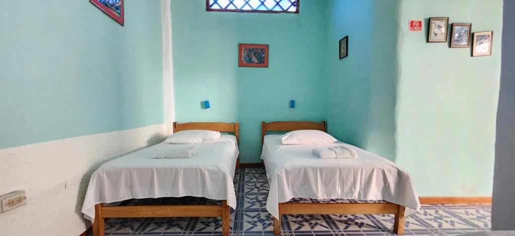 Penguin Hostel - 4