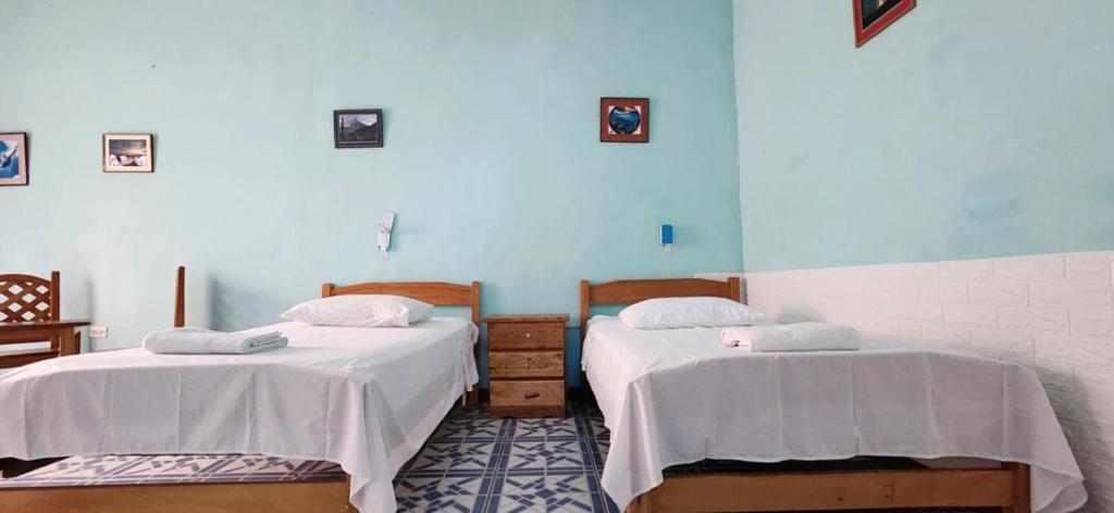 Penguin Hostel - 5