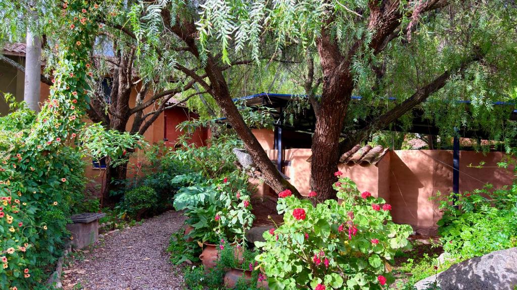 Casa Munay - 3