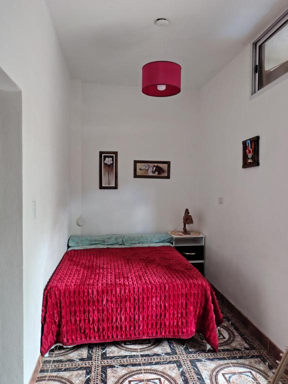 Departamentos `Tannat de paseo las viñas - 5