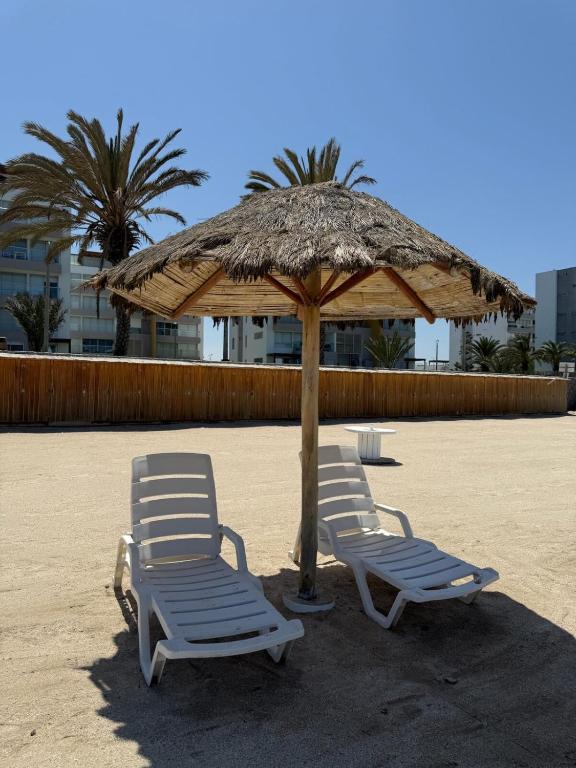 Oceanfront apartment con opcion de Velero - 4