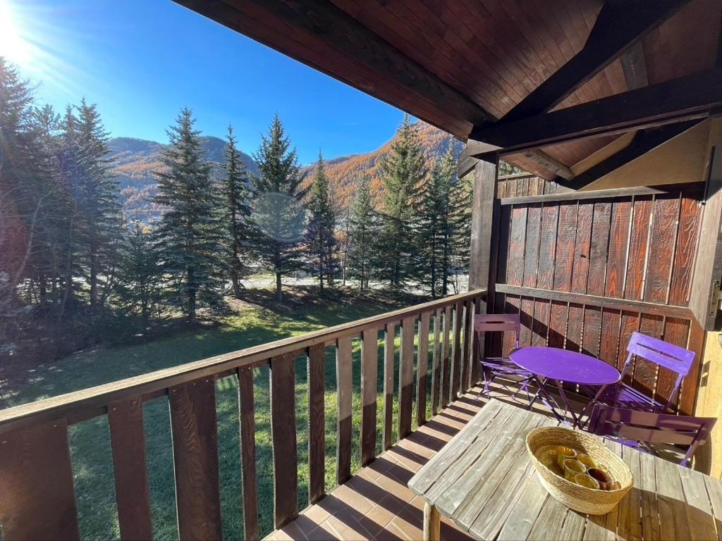 Appartement cosy à Serre Chevalier proche des pistes - 3