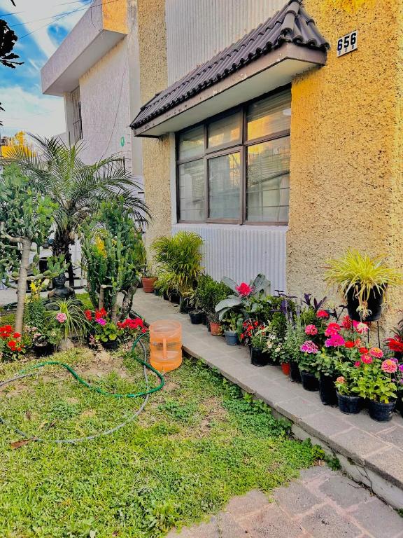Casa Colomos, a residential area with a garden - 3