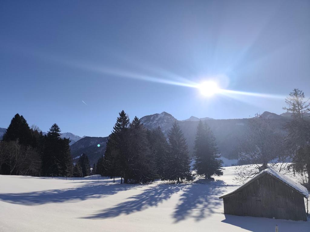 Appartement Alpblick - 2