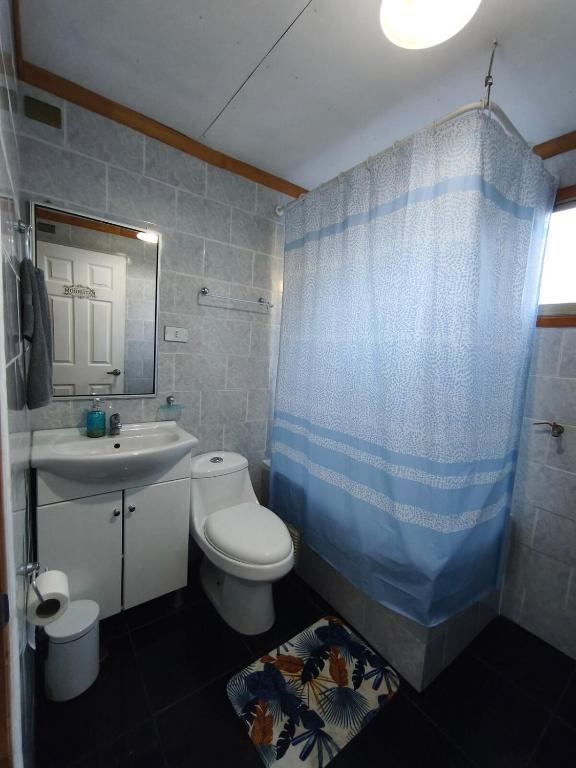 Hermosa cabaña a 2km de Villarrica - 3