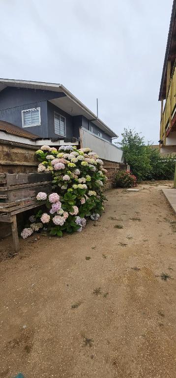 Cabaña El Quisco 1er piso con estacionamiento y pet friendly - 3