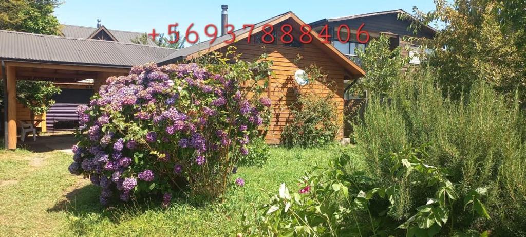 Cabaña céntrica Pucón - 2