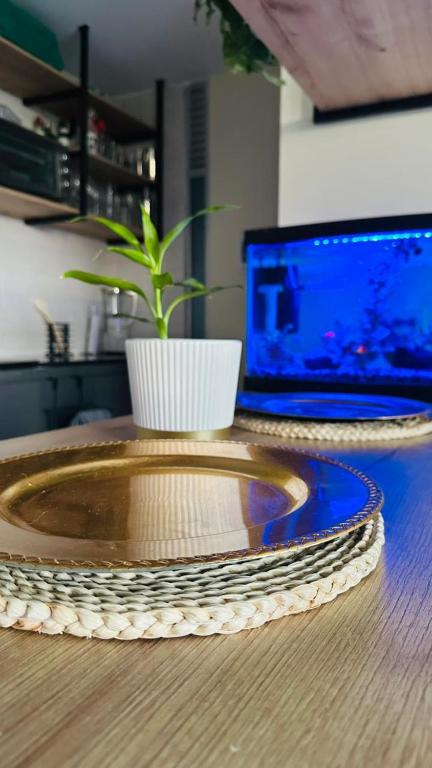 Comodo Apartamento Girardot Vibes - 1