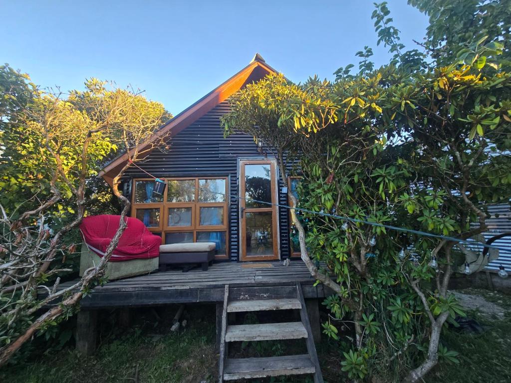 Cabañas bosque de la bruja - 1