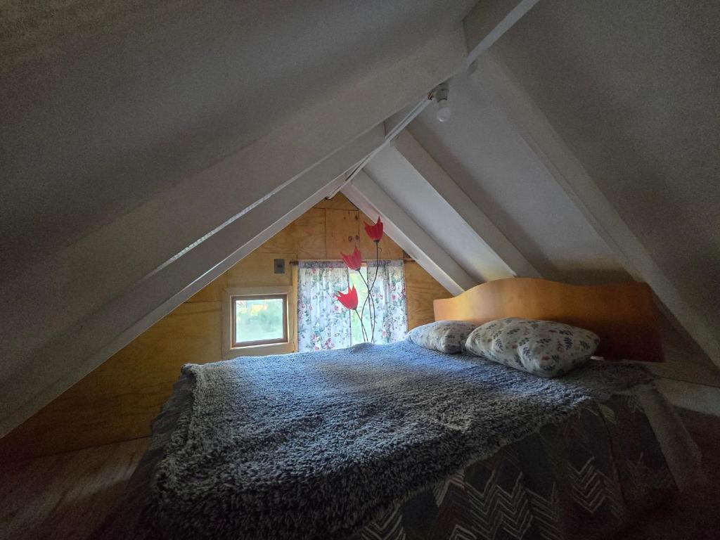 Cabañas bosque de la bruja - 5