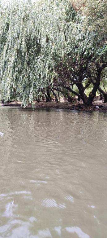 Arriendo casona en el campo, piscina, Quincho y Río Huaqui - 4