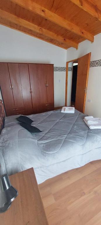 Apartment 1 - Junín de Los Andes - 3