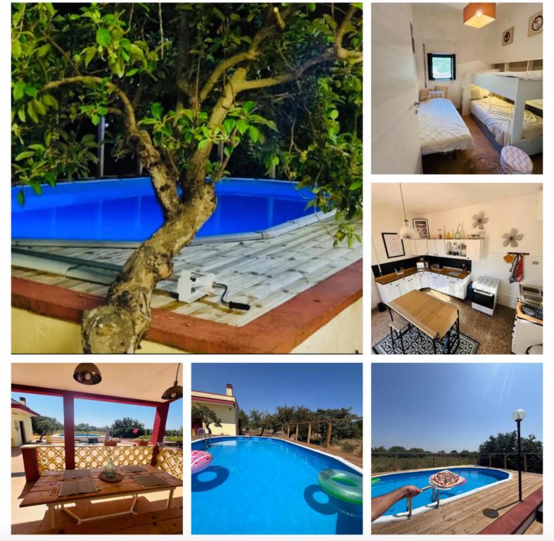 Villa Vallée D Itria - 2