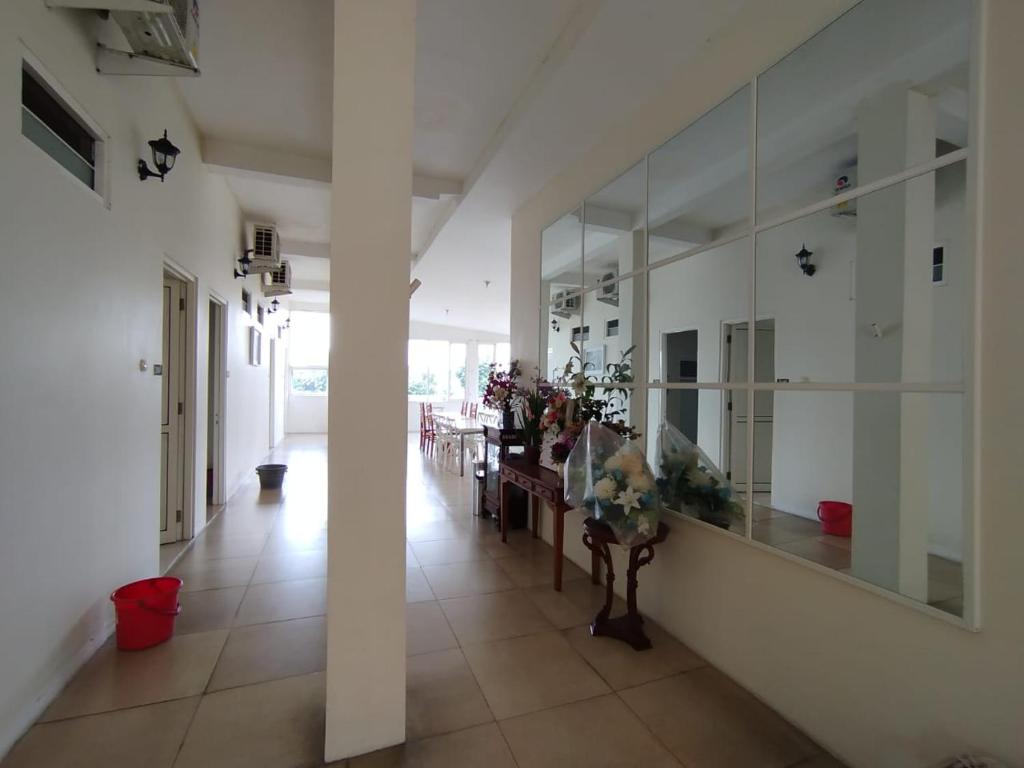 Ảnh 3