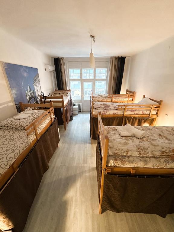 The Horse Monument Hostel - 2