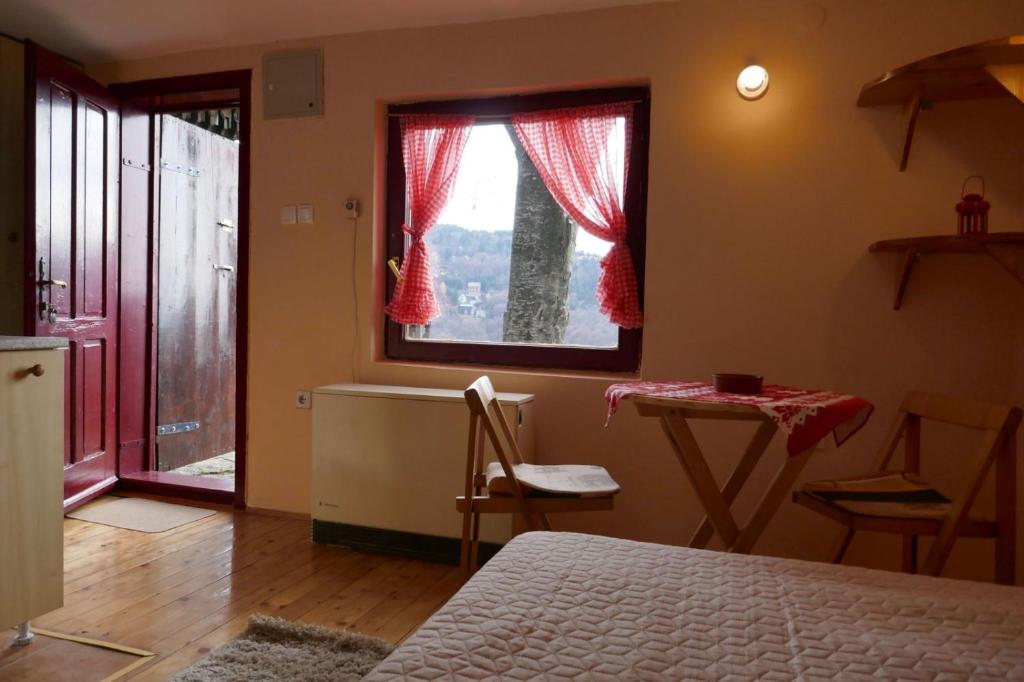 Studio za dvoje u Planinskoj kući Savić - 5