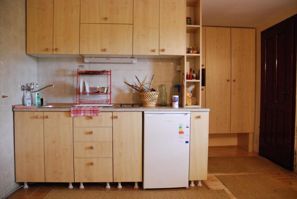 Studio za dvoje u Planinskoj kući Savić - 4