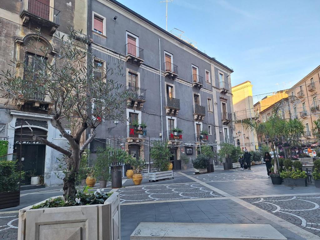 casa teatro 2 - 2