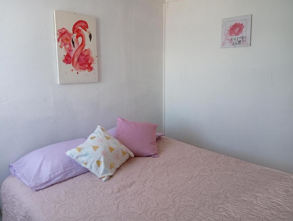 Apartamento Ozak - 2