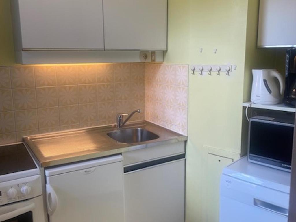 Appartement cosy au centre des Menuires avec WIFI, animaux admis - FR-1-574-71 - 3
