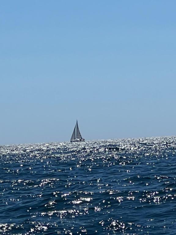 Paseos en Velero Buena Racha - 3
