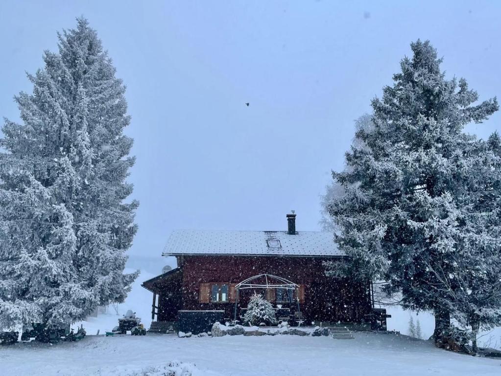 Burtscha Lodge - 3