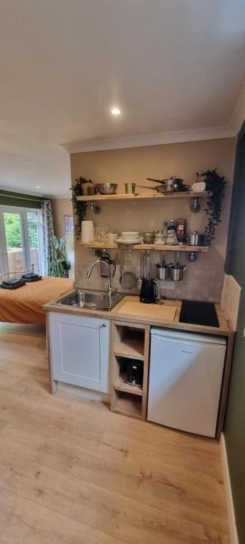 Fern Studio, Lyme Regis photo 5