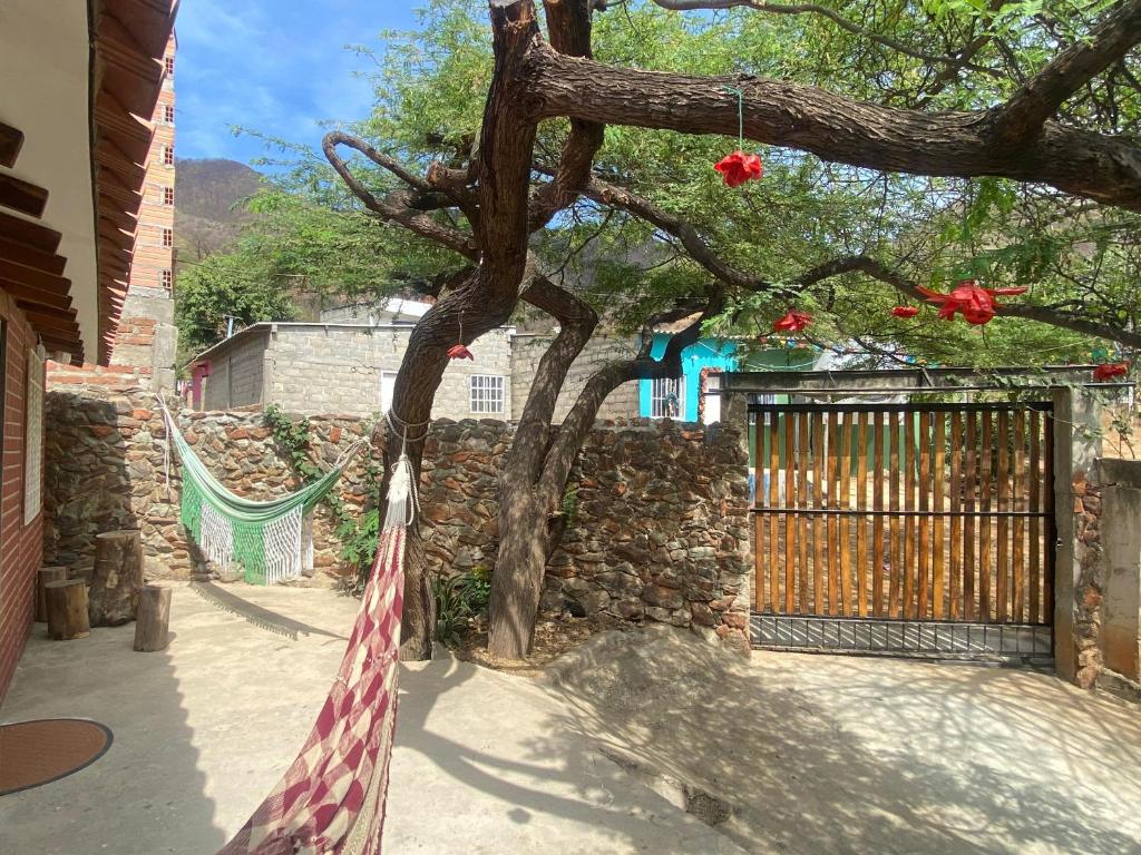 Casa Amores - Taganga - 1