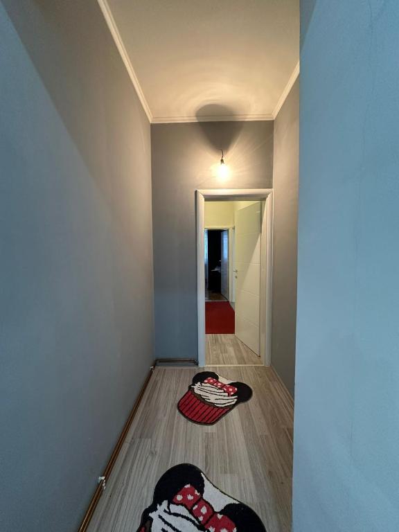 Specious Apartment near airport free parking - 5
