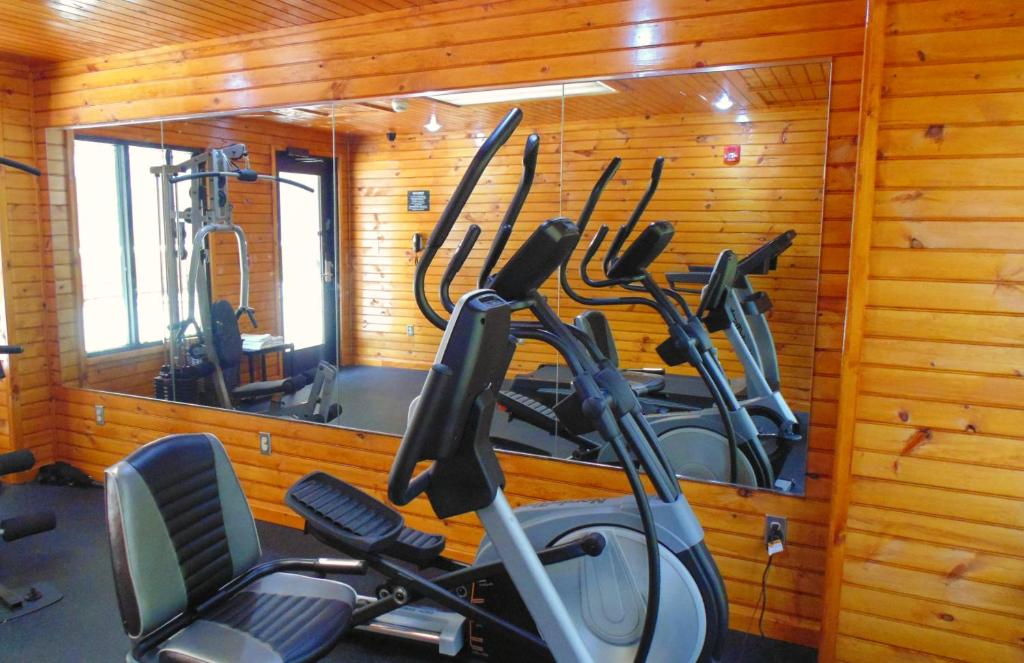 Palestra