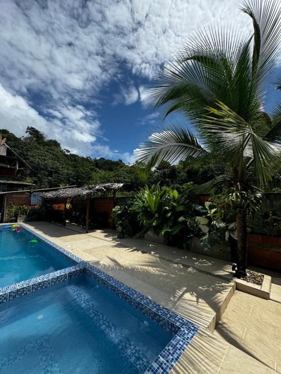 Playa Lodge - 3